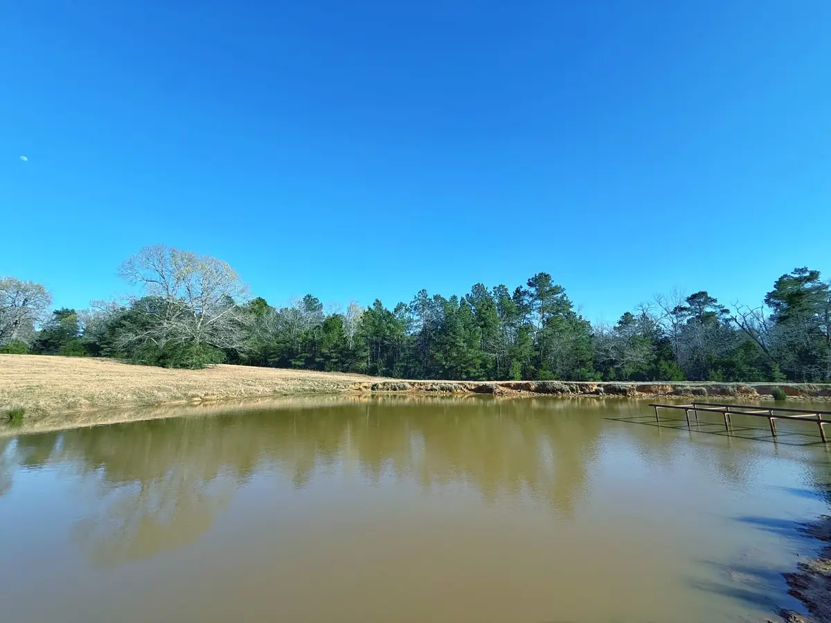 87 ac Cr 2471, Oakwood, TX 75855 - #1
