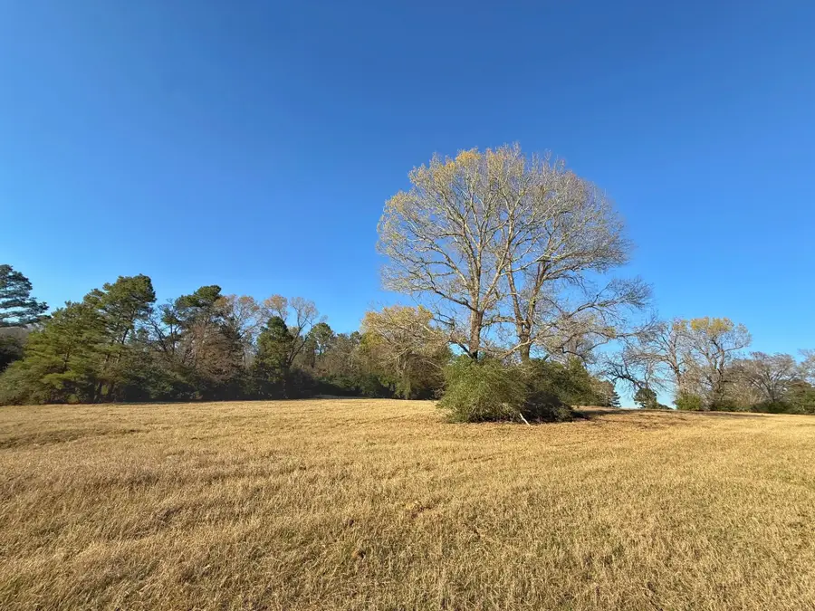 87 ac Cr 2471, Oakwood, TX 75855 - #2