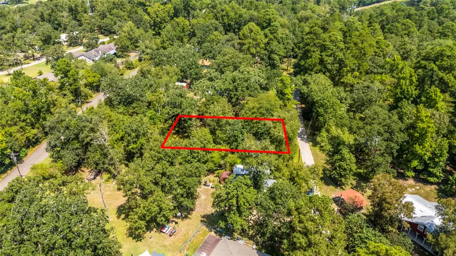 00 Pine Wood Drive, Huntsville, TX 77320 - Image #3