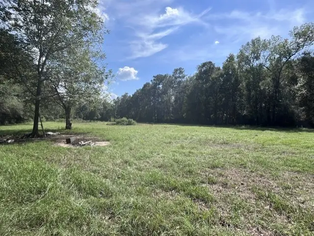 19798 Old Highway 105, Cleveland, TX 77328 - #2