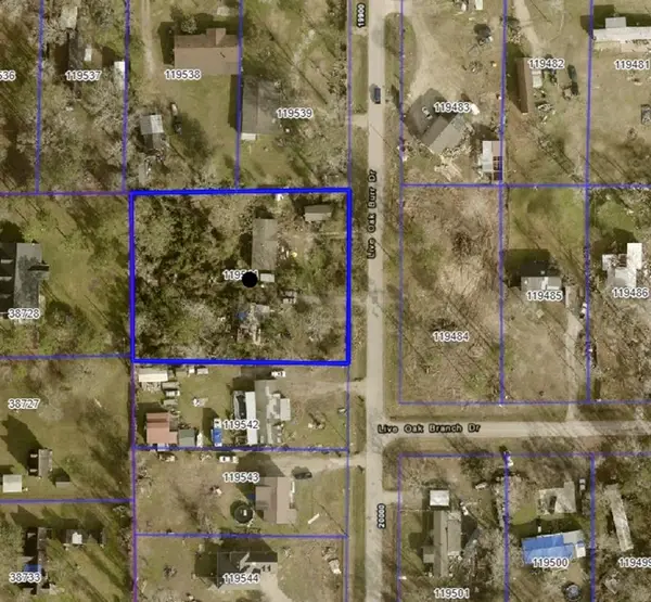 19970 Live Oak Burr Drive, Porter, TX 77365