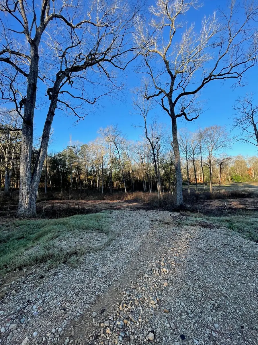 11357 Annie Creek Drive, Willis, TX 77378 - Image #3