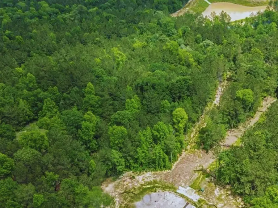 7500 Lonesome Ridge, Montgomery, TX 77316 - #2