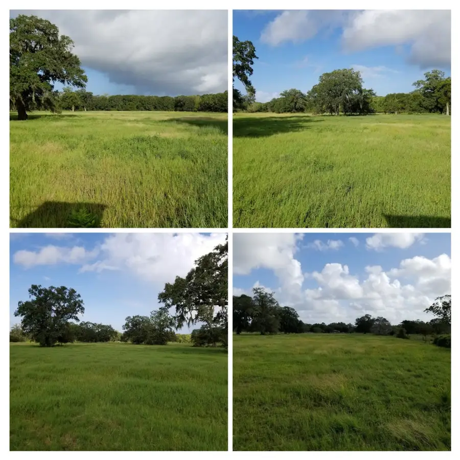 458 County Road 164, Cedar Lane, TX 77414 - Image #2