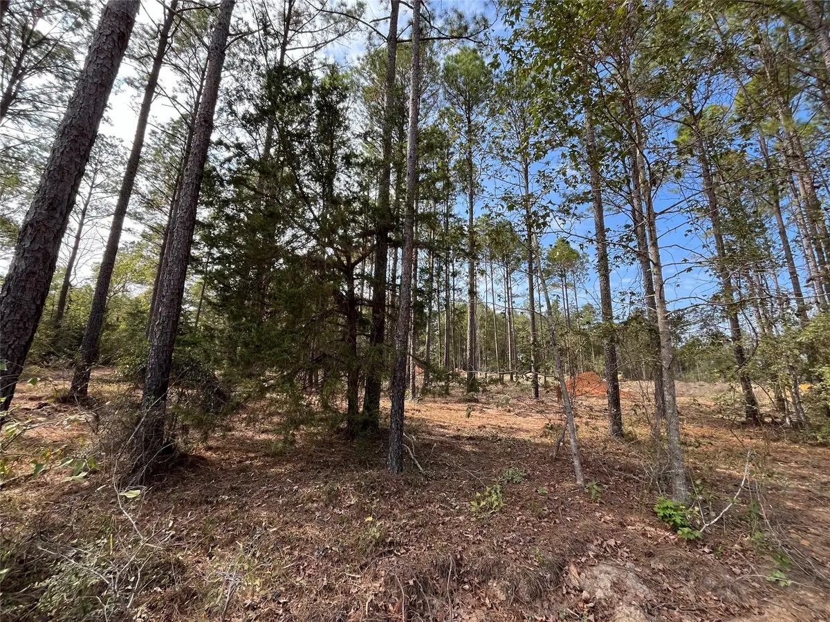 9682 Creek Vista Lane, Willis, TX 77378 - #1