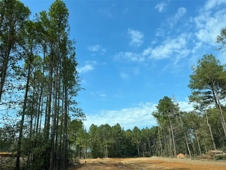 9682 Creek Vista Lane, Willis, TX 77378 - #3