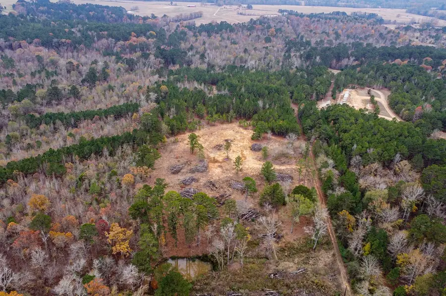 21404 County Road 294, Arp, TX 75750 - Image #2