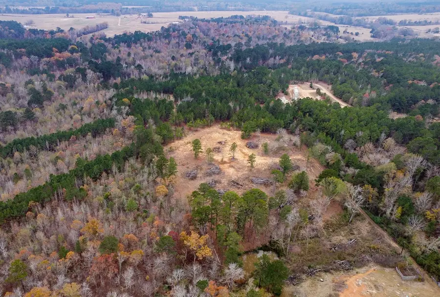 21404 County Road 294, Arp, TX 75750 - Image #3