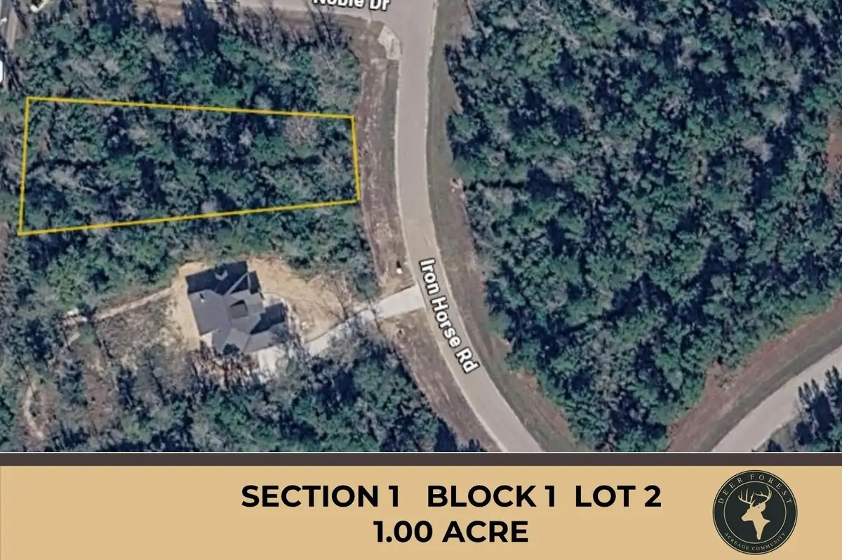 231 Iron Horse Road, Willis, TX 77378 - #1