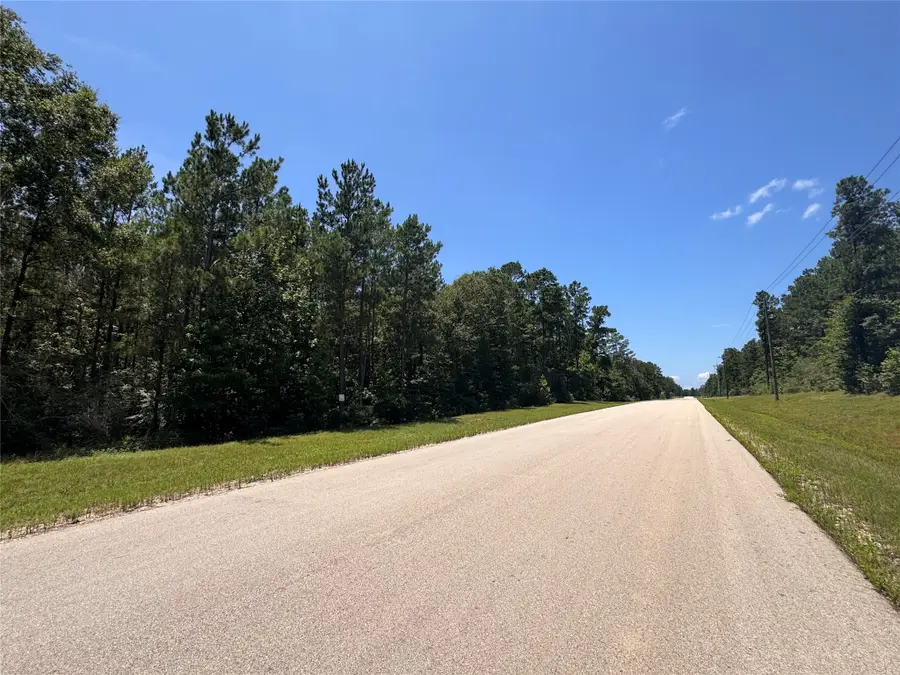 231 Iron Horse Road, Willis, TX 77378 - #3