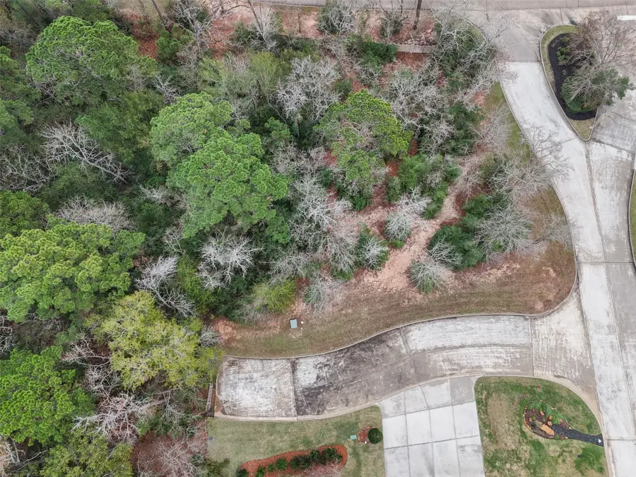 101 Pine Bluff Drive, Montgomery, TX 77356 - Image #2