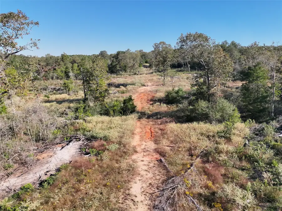 27AC I 45 Feeder, Centerville, TX 75833 - #2