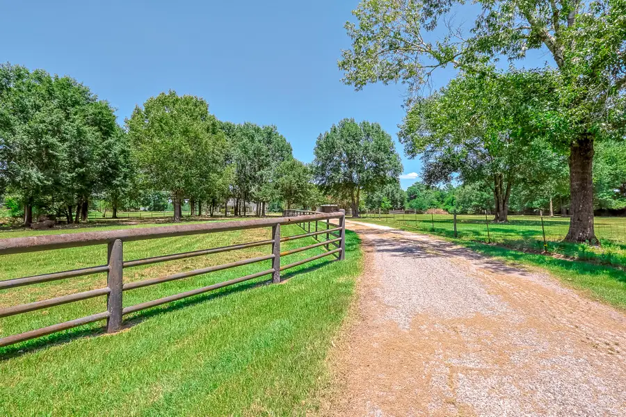 1066 Tafelski Road, New Waverly, TX 77358 - #2