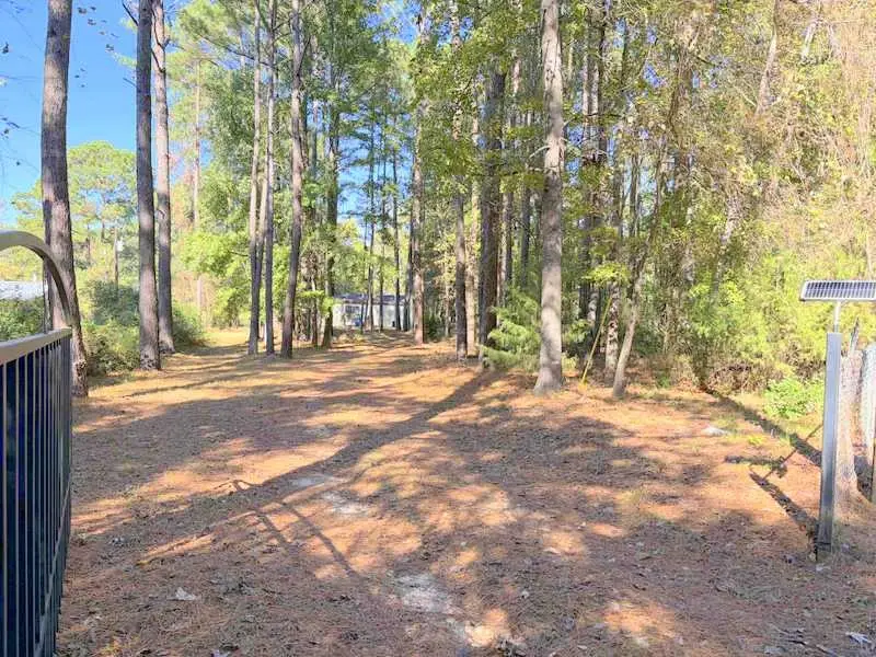 899 Private Road 6050, Crockett, TX 75835 - #3