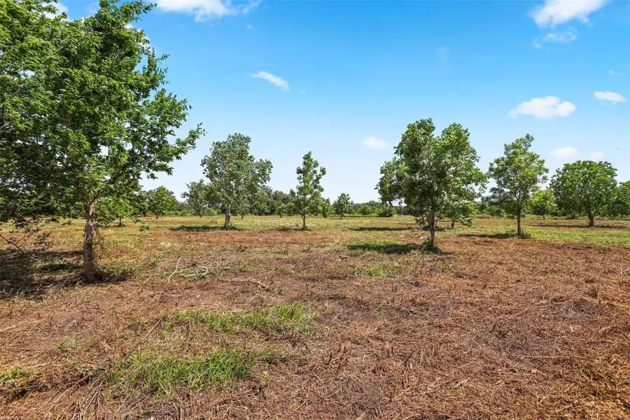 0 Fm 524 Road, Sweeny, TX 77480-8311 - Image #2