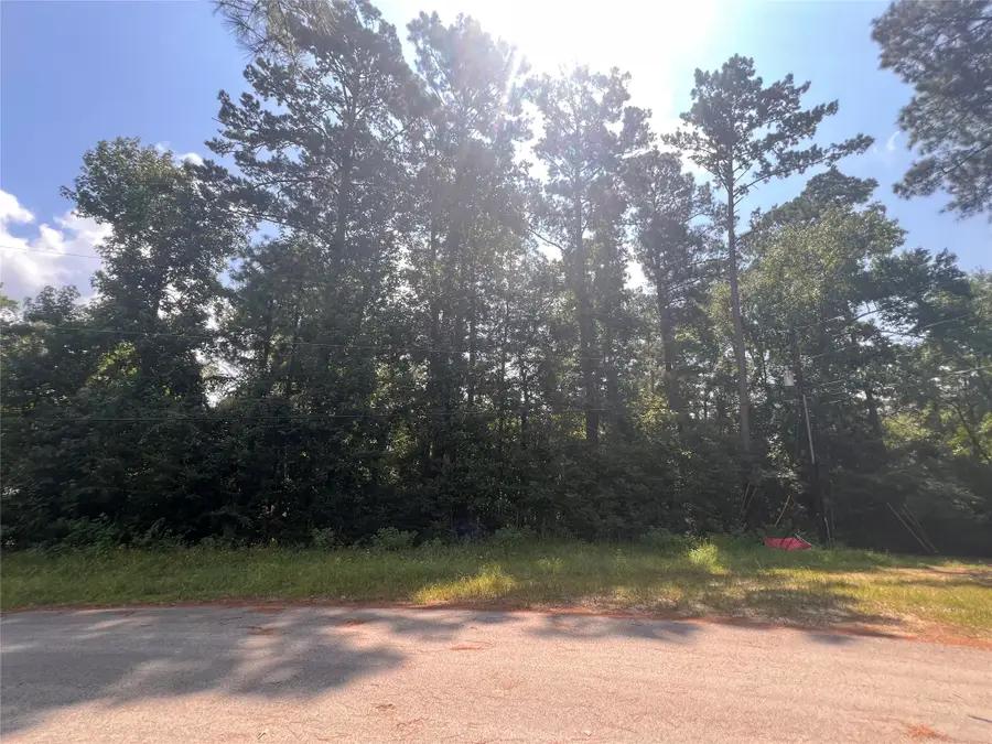 15218 Milton Whatley, Montgomery, TX 77316 - #3