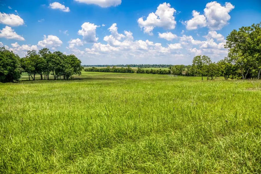 TBD Tbd Farm To Market 2726 Road, Washington, TX 77880 - Image #2