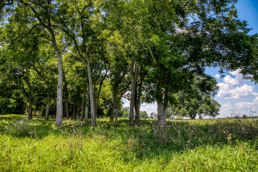 TBD Tbd Farm To Market 2726 Road, Washington, TX 77880 - Image #3