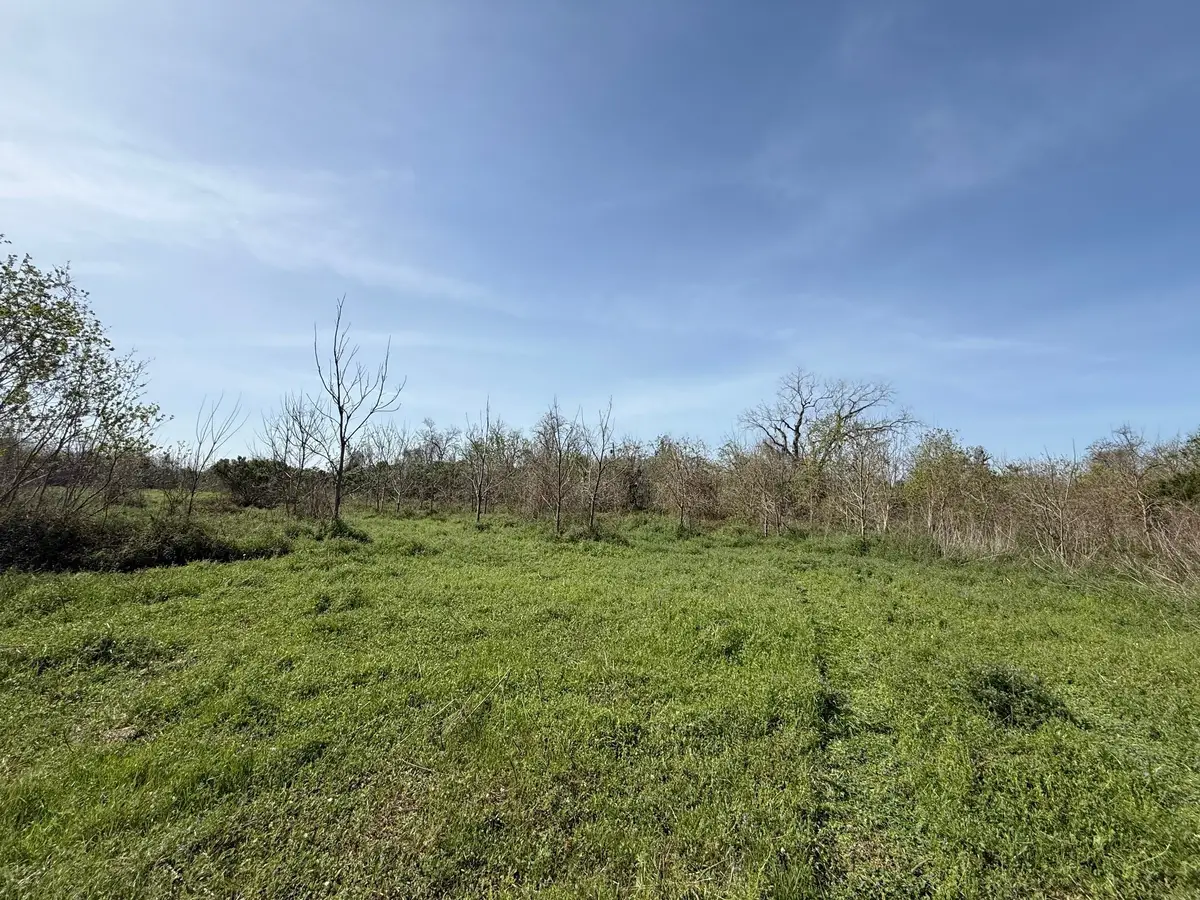 0 County Road 613, Angleton, TX 77515 - #1