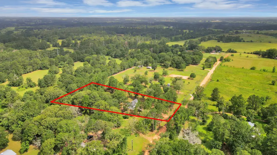 12964 Kowis Lane, Plantersville, TX 77363 - #2