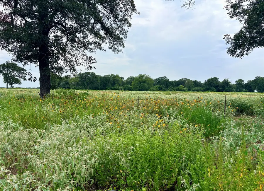 11529 Winstead Lane, Calvert, TX 77837 - #2