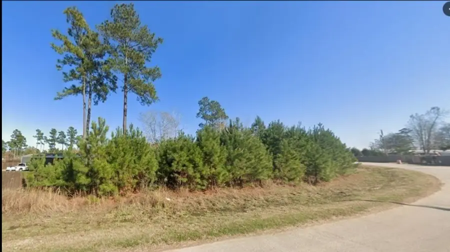 311 County Rd 3479, Cleveland, TX 77327 - #3