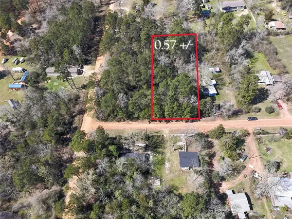 288 Debbies Boulevard, Livingston, TX 77351