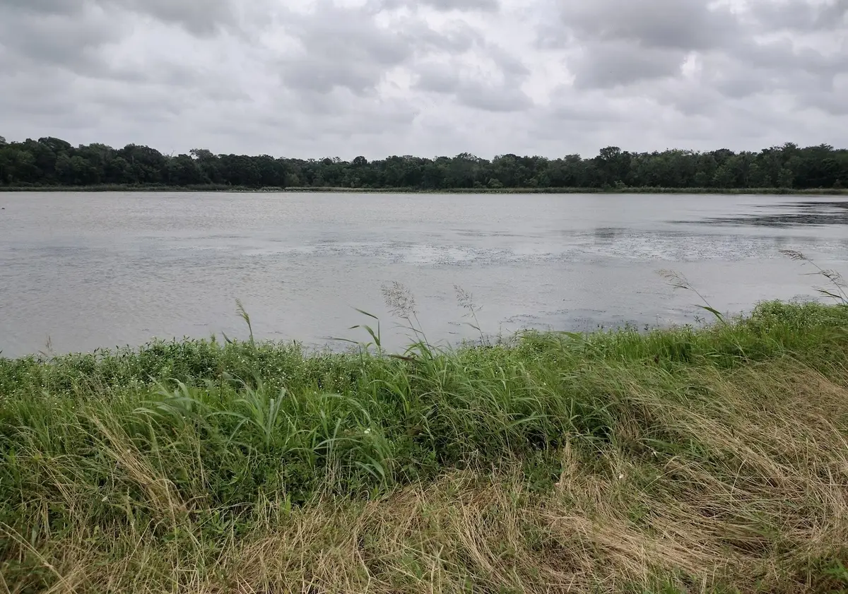 FM 521 Barx Ranch Sec 17 Blk 3, Angleton, TX 77515 - Image #1