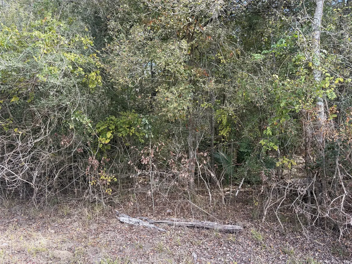 510 Bayou Road County Road 848, Danbury, TX 77534 - #1