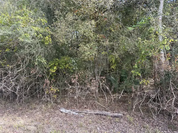510 Bayou Road County Road 848, Danbury, TX 77534
