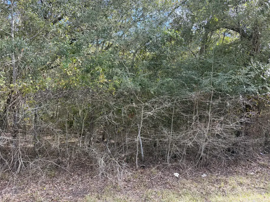 510 Bayou Road County Road 848, Danbury, TX 77534 - #2