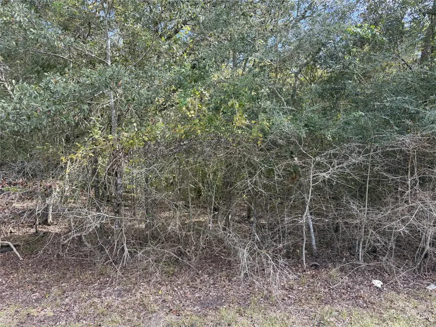 510 Bayou Road County Road 848, Danbury, TX 77534 - #3