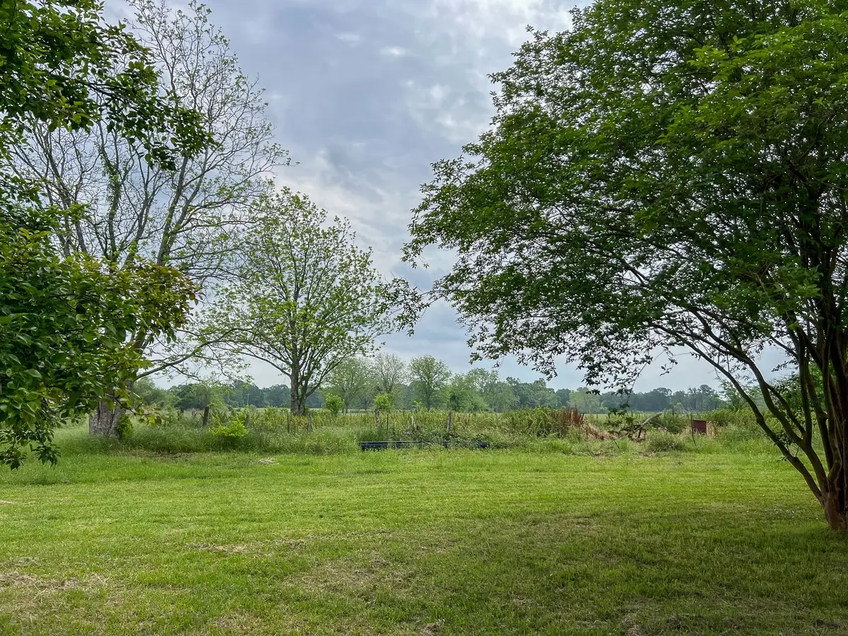 T-20 County Road 3630, Lovelady, TX 75851 - #1