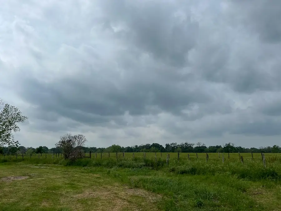 T-20 County Road 3630, Lovelady, TX 75851 - #2
