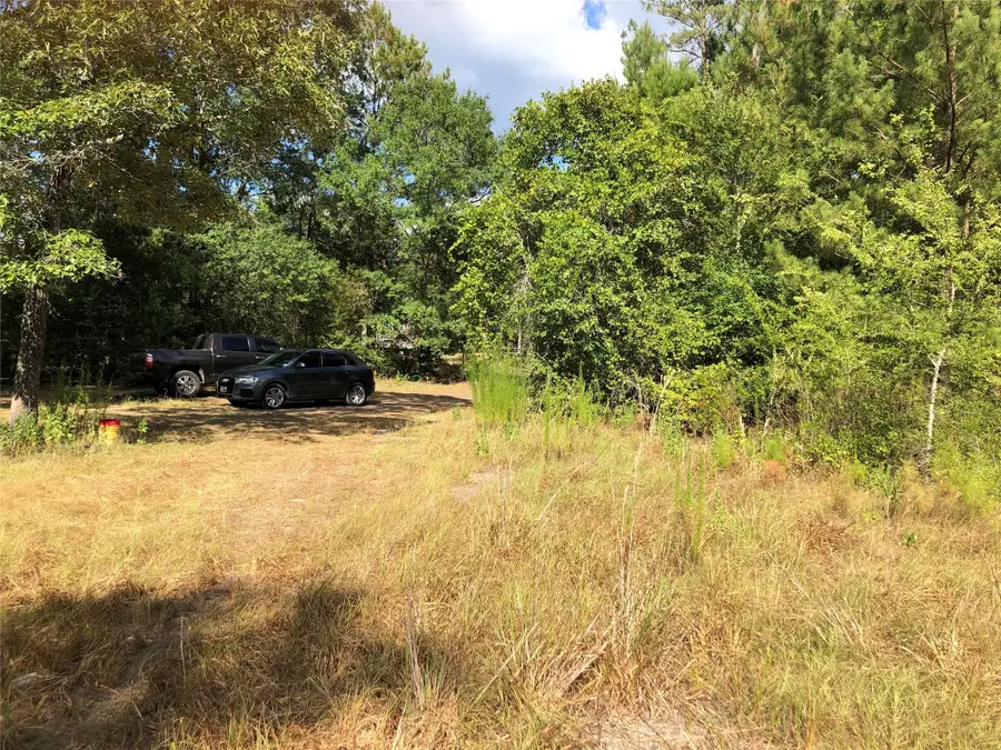 26685 Clark Road, Waller, TX 77484 - #2