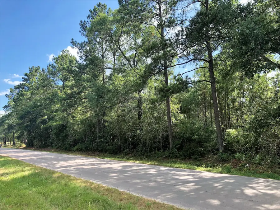 26685 Clark Road, Waller, TX 77484 - #3