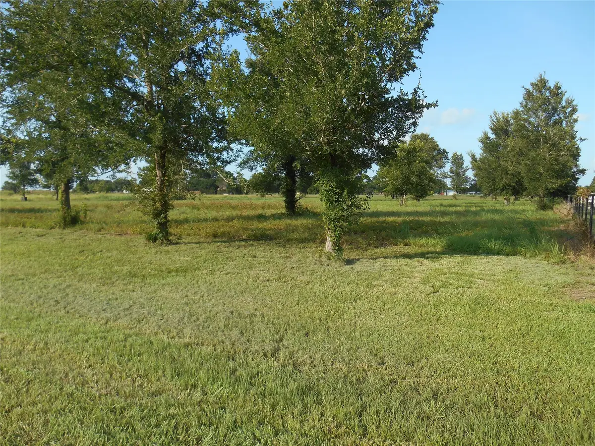 0 Meadow Wood Lane, Sealy, TX 77474 - #1