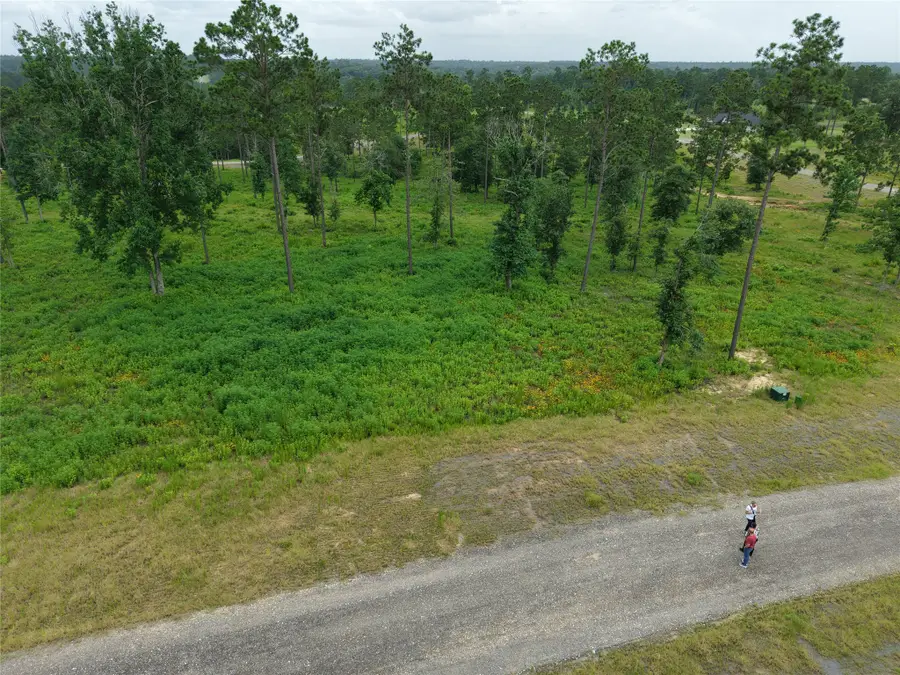 Lot 82 Grace Circle, Livingston, TX 77351 - #3