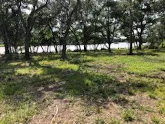 0 County Road 306, Brazoria, TX 77422 - Image #2