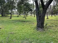 0 County Road 306, Brazoria, TX 77422 - Image #3