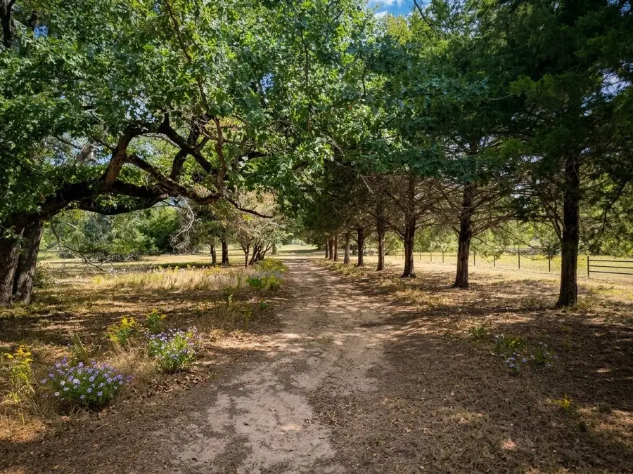 17882 County Road 431, Marquez, TX 77865 - #3
