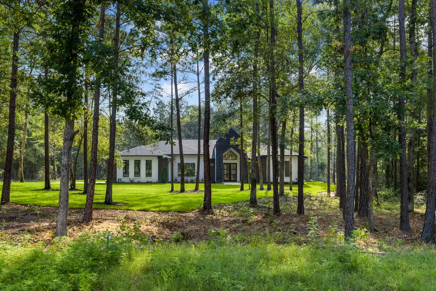 15868 Wooded Trail Way, Willis, TX 77378 - #2