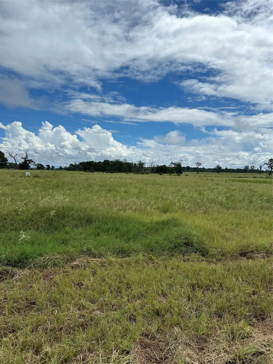 TBD Private Road 2316 Tr 47 Tr48, Centerville, TX 75833 - Image #2