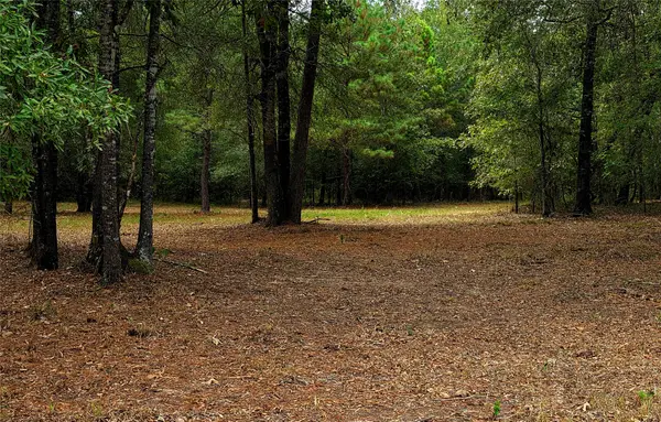 Lot 4 Hidden Cove Road, Point Blank, TX 77364