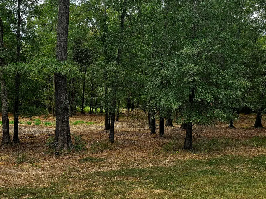 Lot 4 Hidden Cove Road, Point Blank, TX 77364 - #2