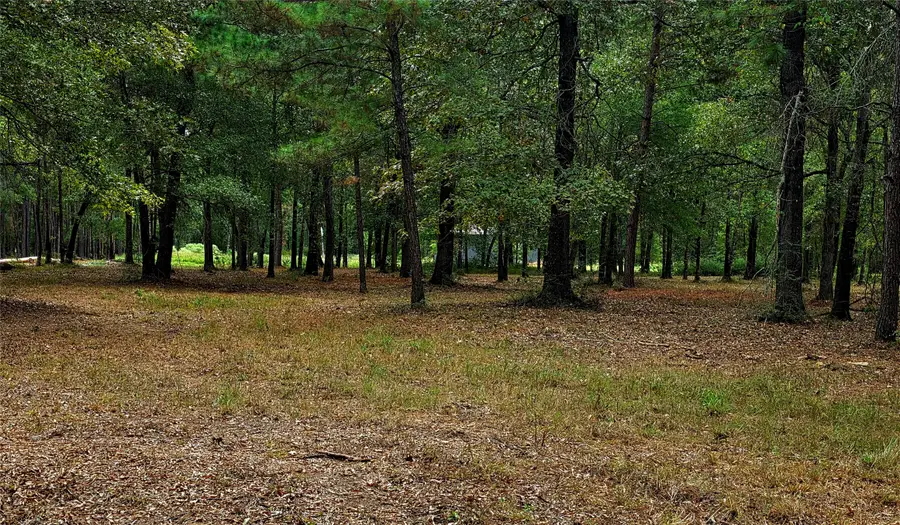 Lot 4 Hidden Cove Road, Point Blank, TX 77364 - #3