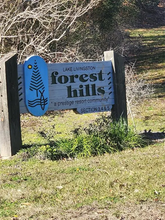 Lot 425 Echo Hills Lane, Livingston, TX 77351 - Image #1