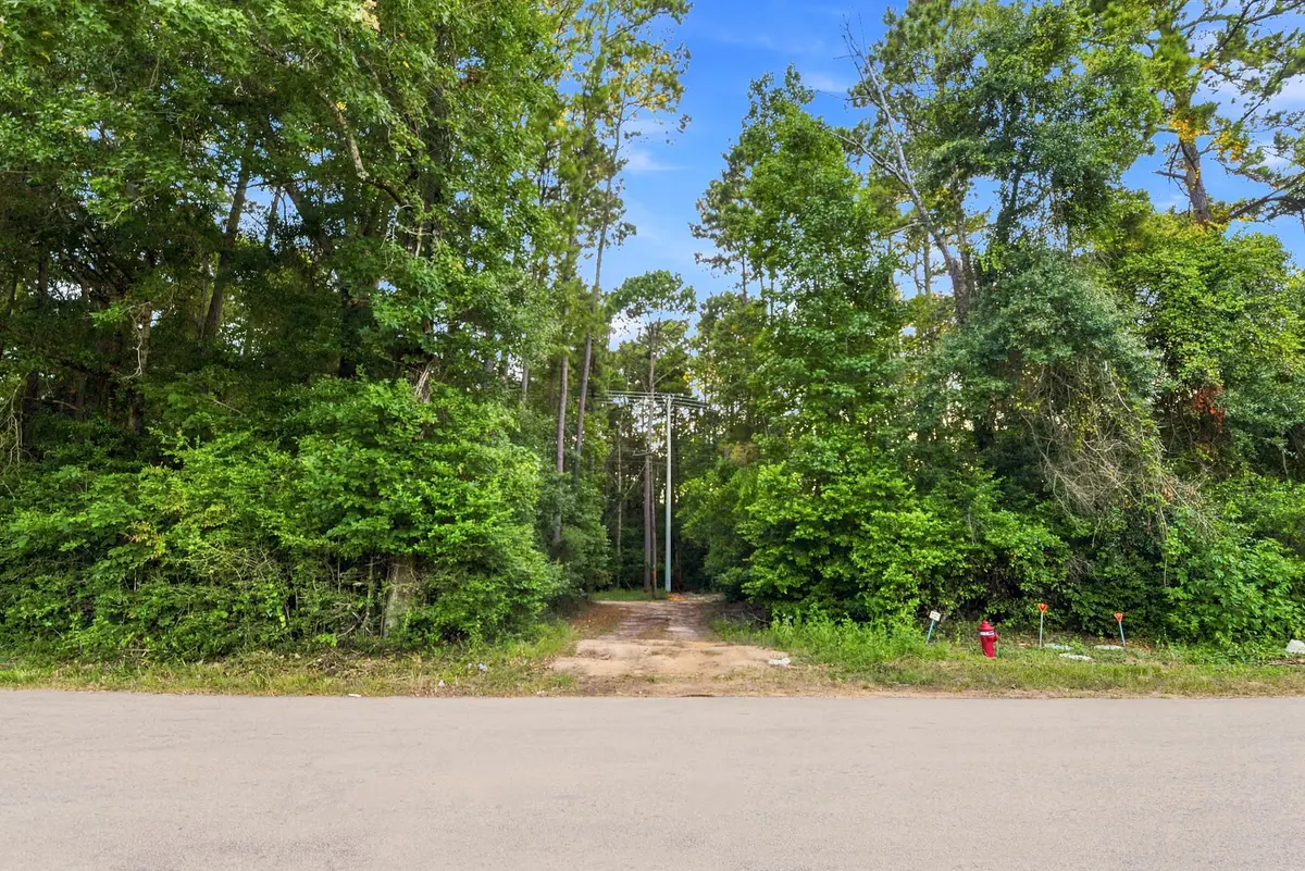 201 Lewis Lane, New Waverly, TX 77358 - #1