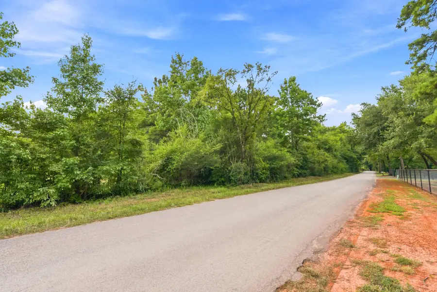 201 Lewis Lane, New Waverly, TX 77358 - #3