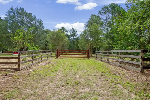 TBD Lot 1 County Road 302, Plantersville, TX 77363